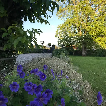 Westerbuchberg Holiday home *