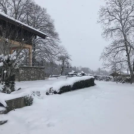 Westerbuchberg *