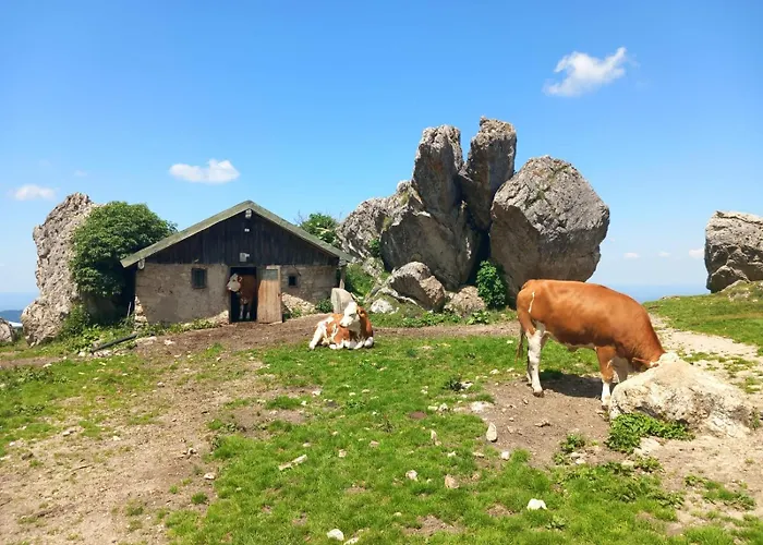 Сasa de vacaciones Westerbuchberg